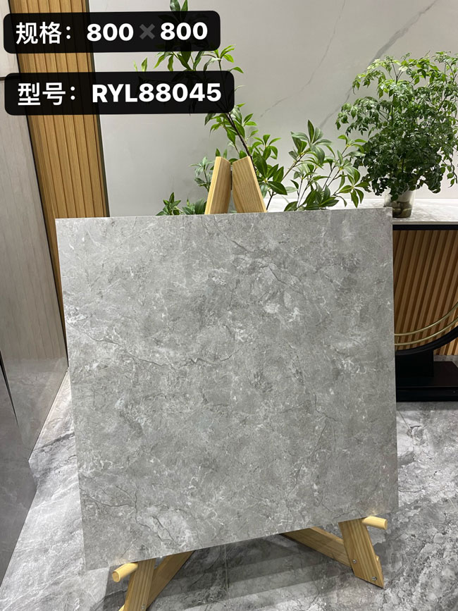  RYL88045