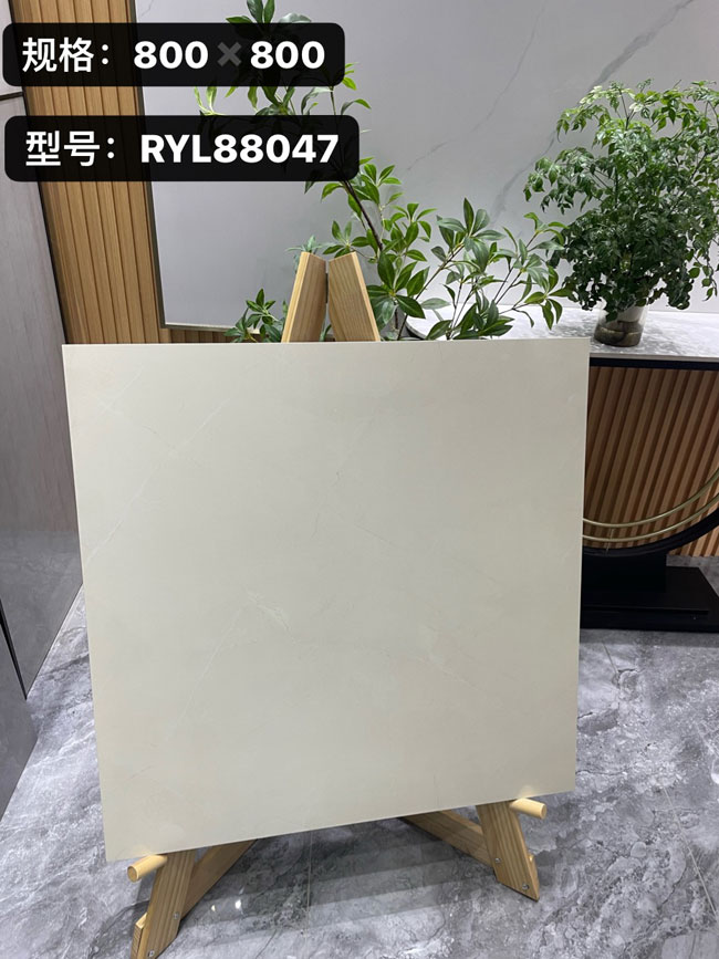  RYL88047