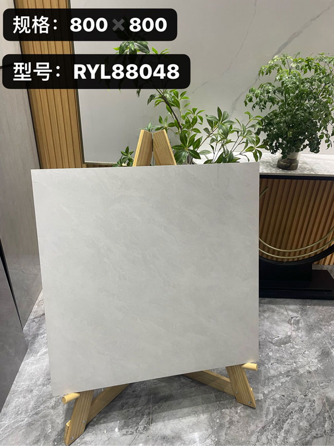  RYL88048